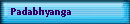 Padabhyanga